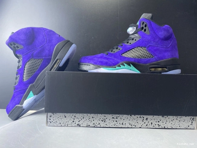 Alternate 5 Jordan Air Grape Retro 136027-500 0718